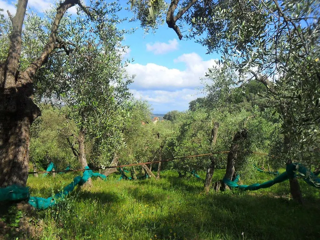 B&B Ududema Dolcedo Italië