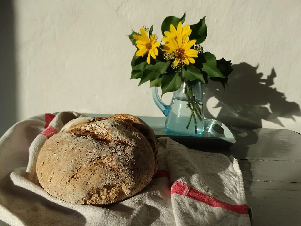 B&B Ududema Dolcedo Bed & Breakfast